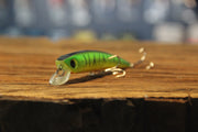 Bass Pro Minnow Casting Lures
